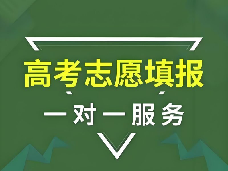 2026 天津高考志愿填报指导机构哪家好？志愿填报指导机构 TOP4 排名一览