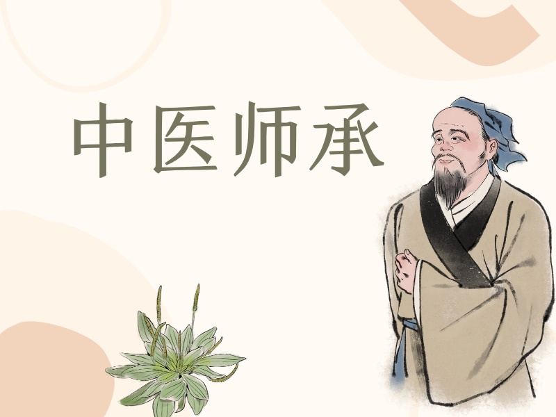 2026 西安中医师承国家承认资质吗？中医师承班 TOP6 排名一览