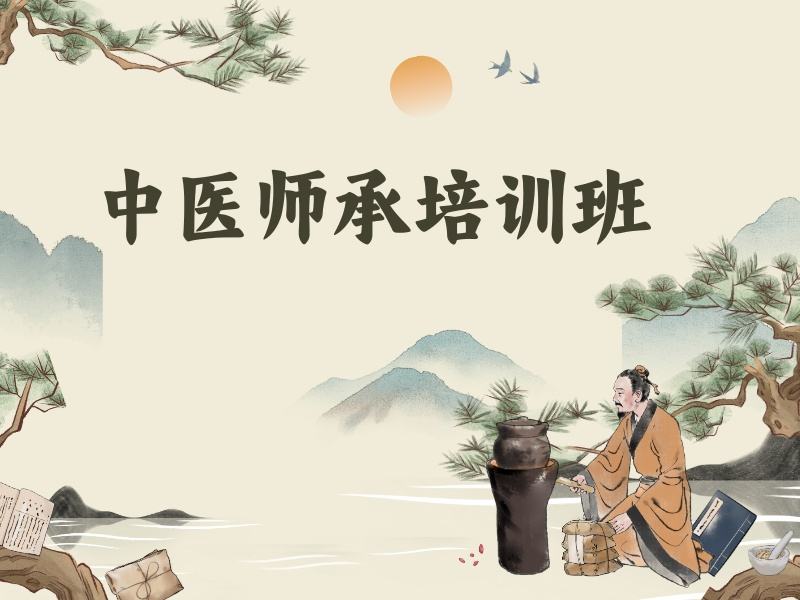 2026西安中医师承报考条件有哪些？中医师承班前五排名一览