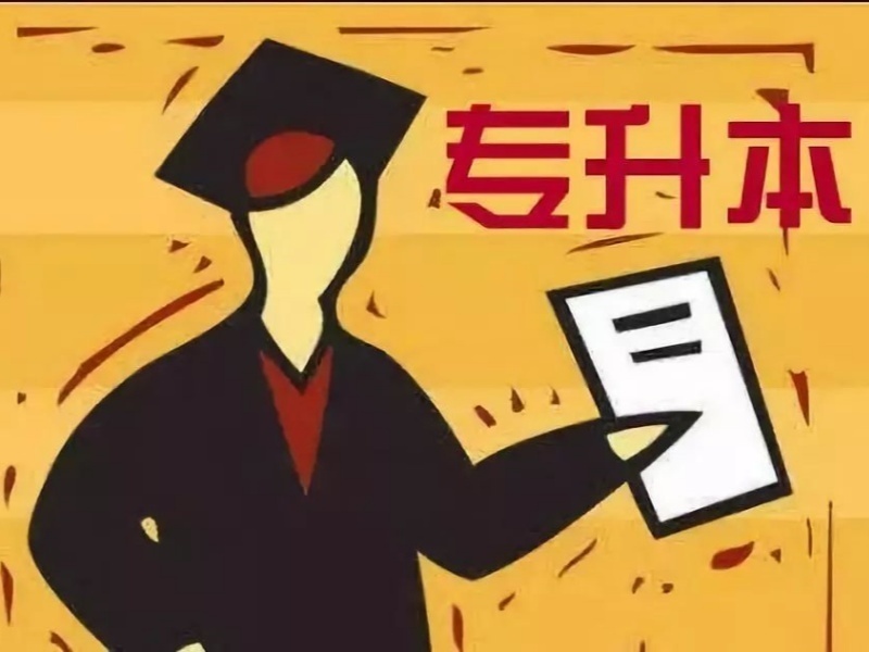 2026合肥专升本辅导机构正规的有哪些？培训机构前六排名一览