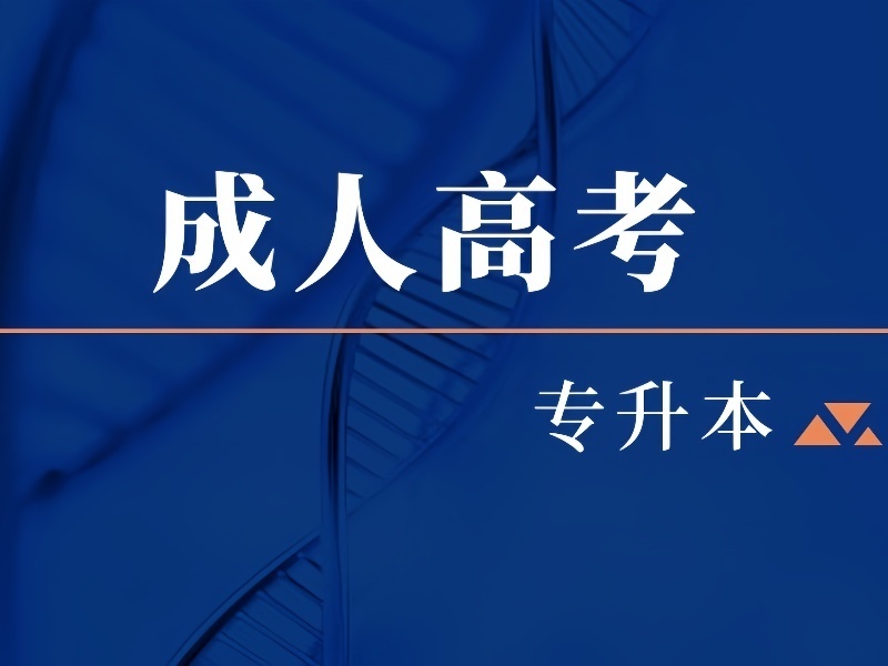 2026合肥成人高考哪家培训班正规？成人高考培训机构TOP3排名一览