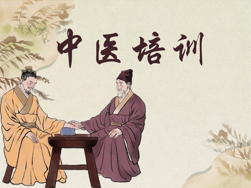 2026西安中医培训班哪个好？中医培训机构TOP3排名一览