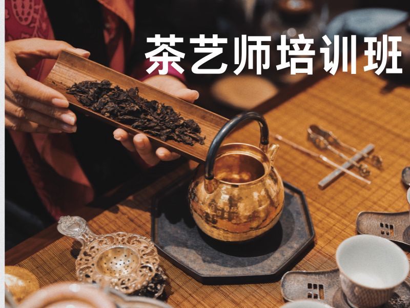 2026深圳茶艺师在哪里学习合适？茶艺师培训班前五排名一览