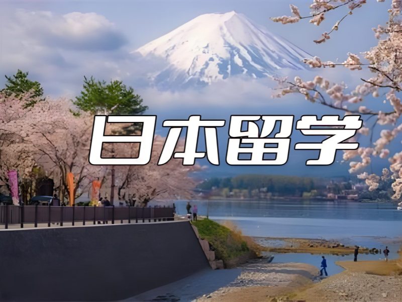 2026 合肥日本留学靠谱的中介有哪些？日本留学服务机构前四排名一览