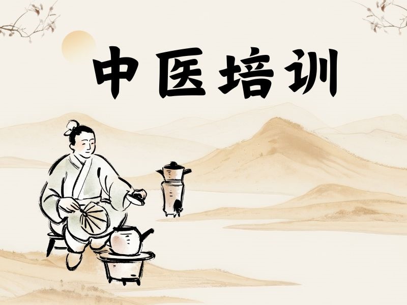 2026西安报中医哪个培训机构好？中医培训机构TOP3排名一览