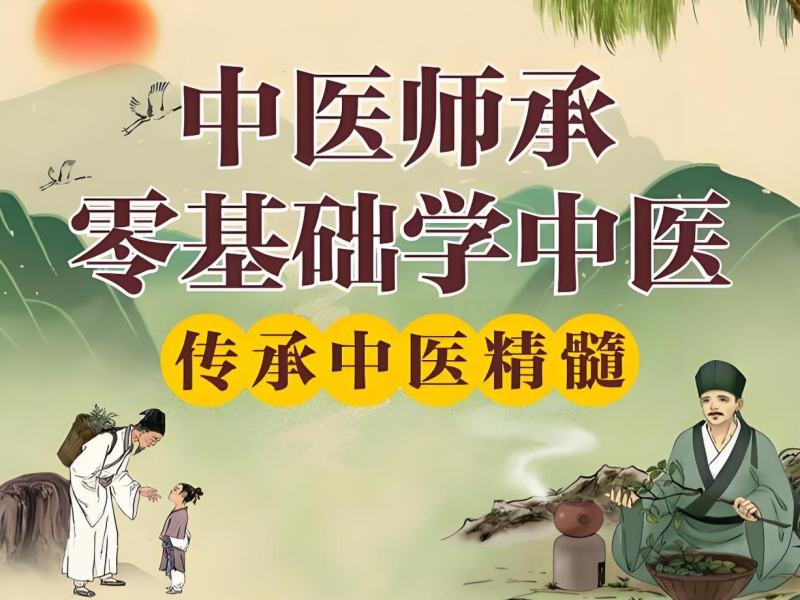 2026西安全日制中医师承班适合零基础吗？中医师承班TOP6排名一览