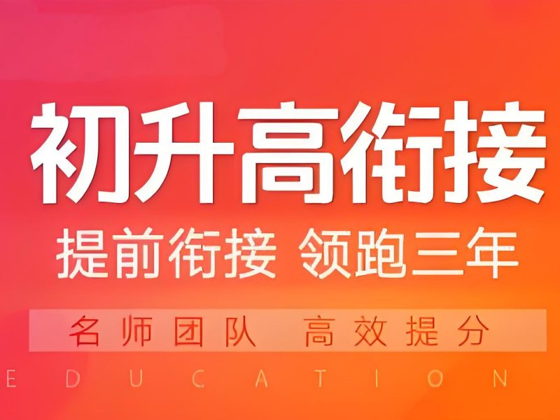 2026武汉初升高1对1辅导培训班性价比高吗？初升高衔接班前五排名一览