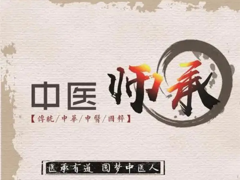  2026西安考中医师承哪个培训机构好？培训机构TOP5排名一览