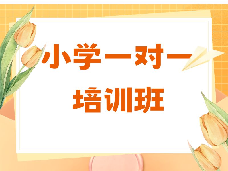 2026南京小学一对一补习收费标准是多少？小学一对一补习班TOP5排名一览