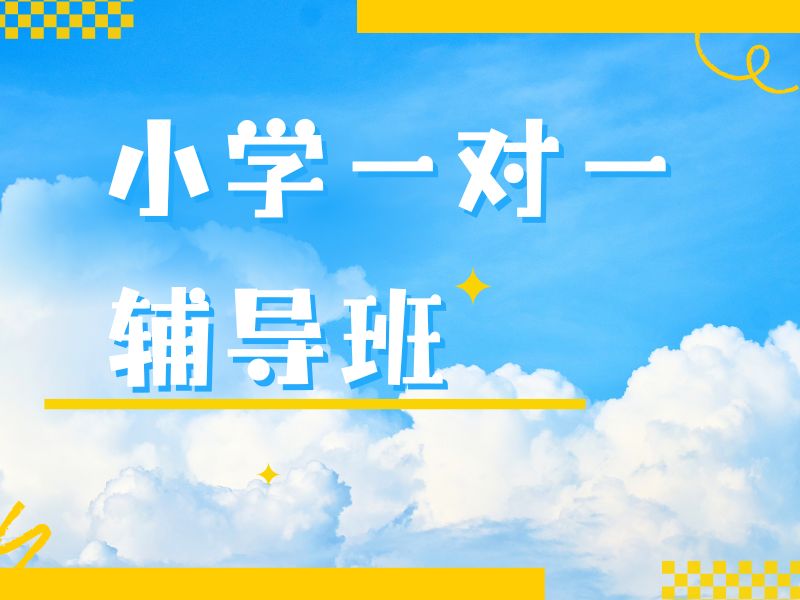2026南京小学报辅导班有没有必要报？小学一对一补习班TOP4排名一览