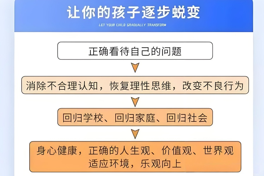 6552690c-330c-493e-9e89-82930f979bf0.jpg