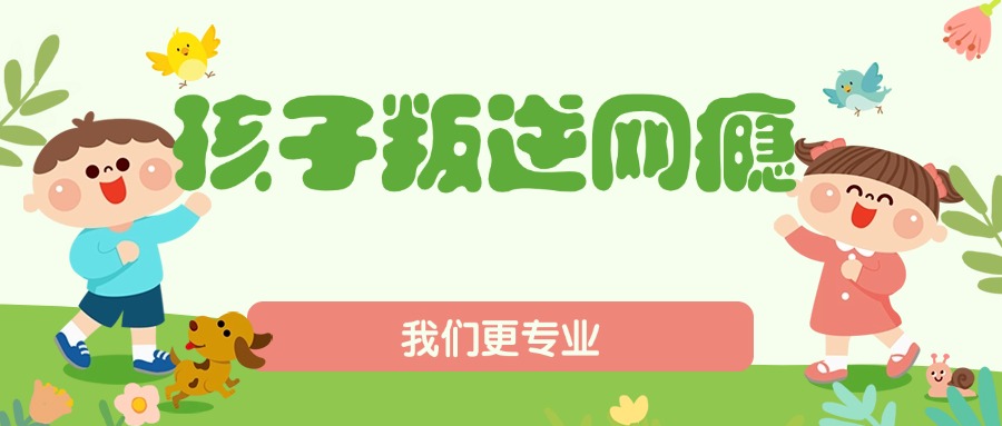 网4.jpg