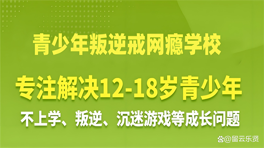 内7.jpg