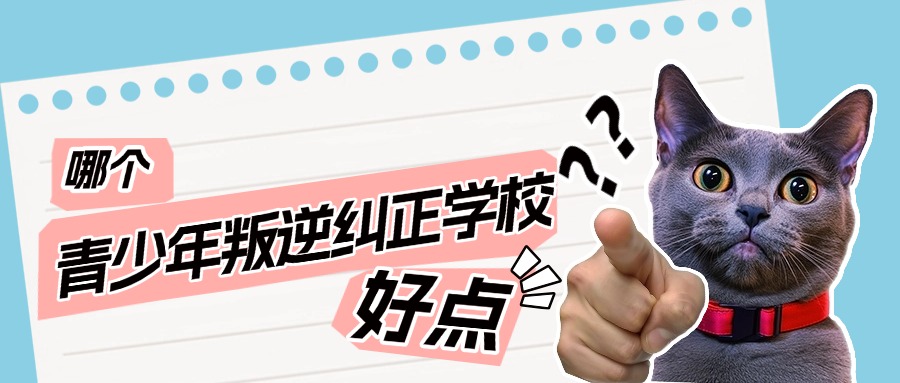 内9.jpg