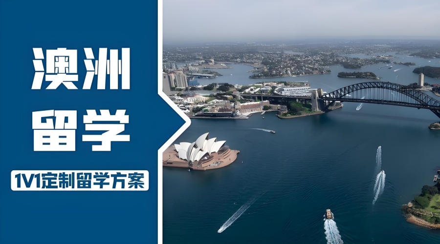 1762406244957146.jpg db866c0a-13e3-4643-9e9c-52a9f9444ed8.jpg