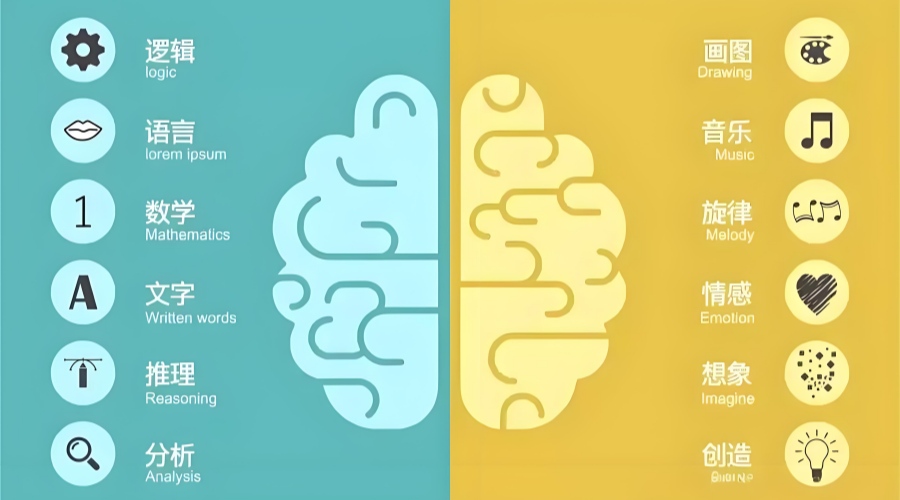 1762823903904573.jpg 15.jpg