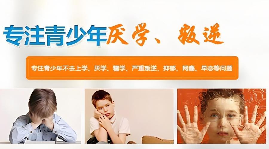 1763168468269539.jpg 3ce11e87-fdbe-4e12-bf5b-451f7b88fa28.jpg