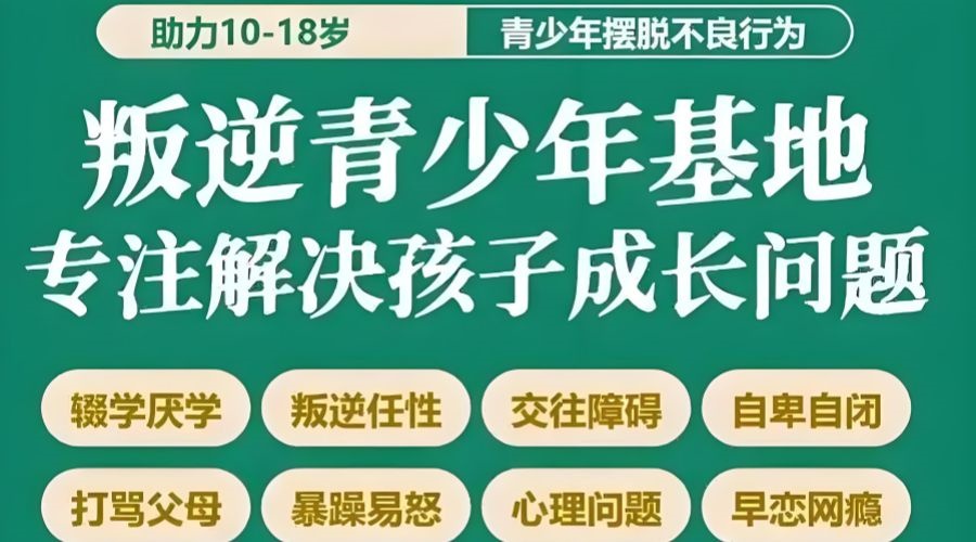 1763169282770685.jpg 4d3bcff6-51e3-473d-8cd7-7cf5e4d6c9af.jpg