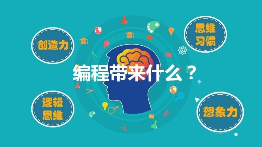 1765270042455248.jpg 13.jpg