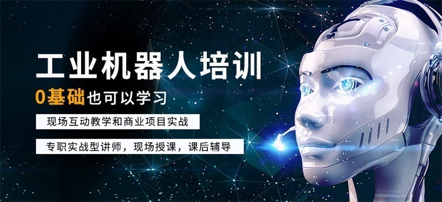 1767584769289565.jpg 2.jpg