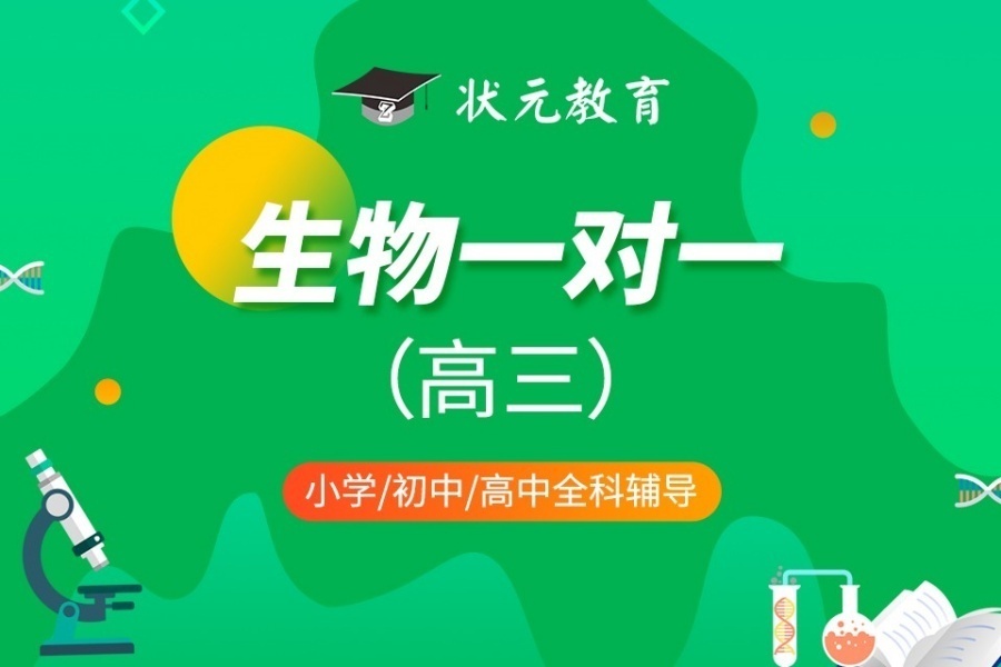 1768283005127374.jpg 31.jpg