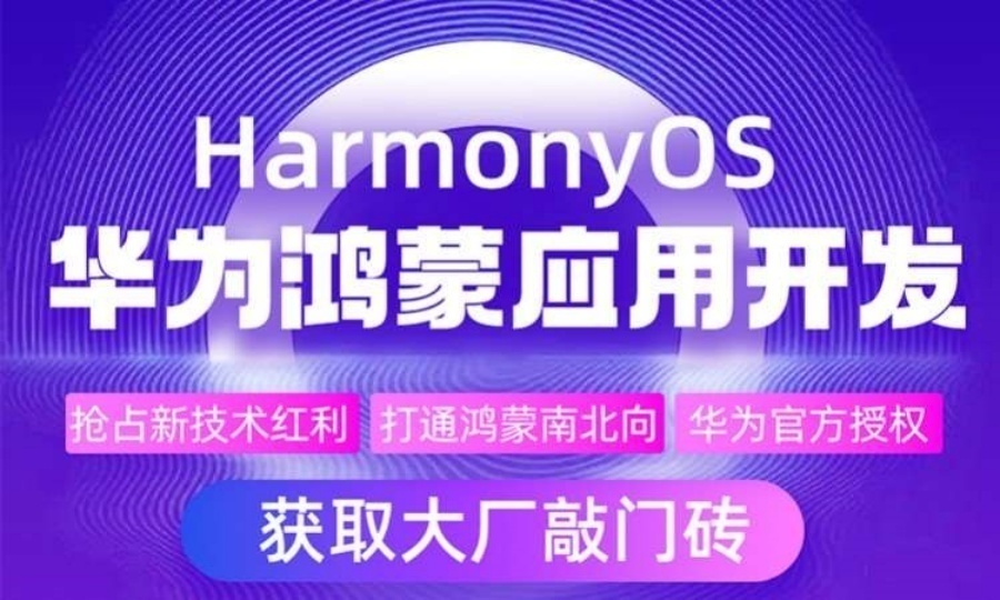 1769669962656944.jpg 17.jpg