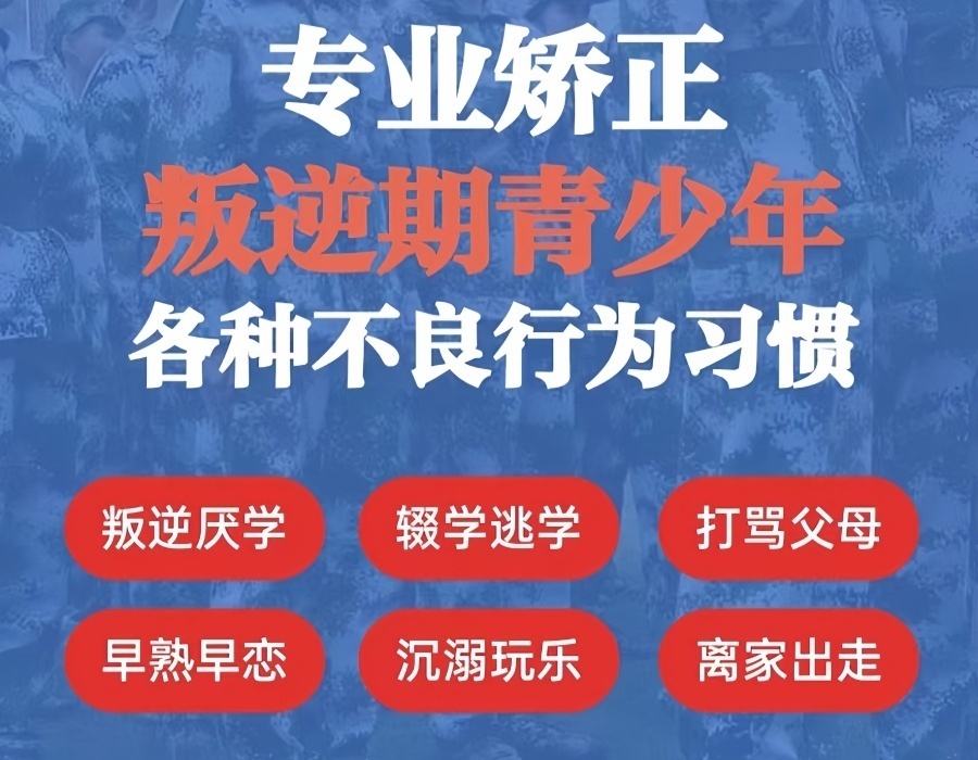 1771910855993911.jpg 14.jpg