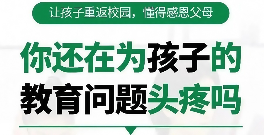 1771912263308216.jpg 11.jpg