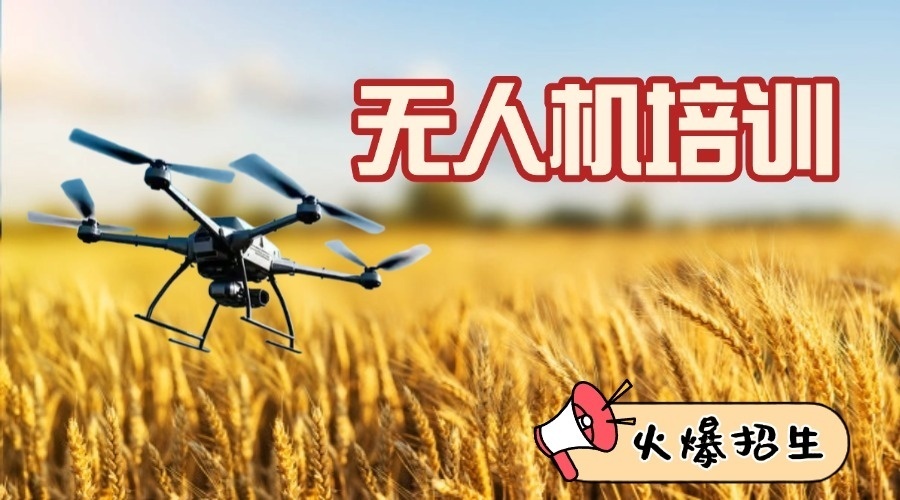 1779938710740206.jpg 尾5.jpg
